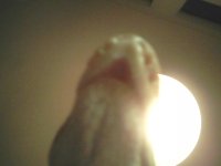 bite 2.jpg bite 2.jpg