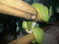 100_4004.jpg