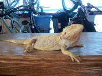 dads pic 022.jpg