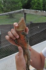 DSC_3668.jpg
