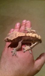 Female #2.jpg
