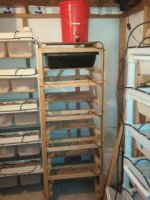 rat rack.jpg rat rack.jpg