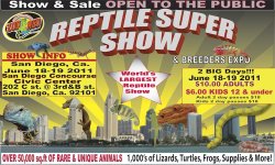 reptile_show_mainImage.jpg