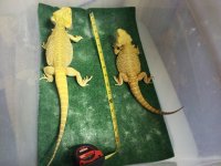2011-06-26 15.21.26.jpg