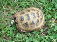 IMG_1865.jpg