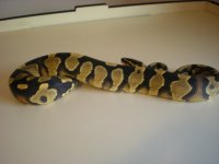 DSCN2559.jpg