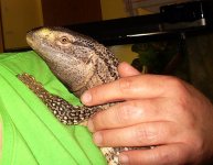 Snuggle monitor.jpg