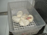 DSCF0001 (2).JPG