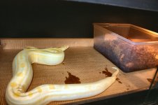 IMG_5728.jpg