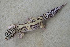 IMG_5630.jpg