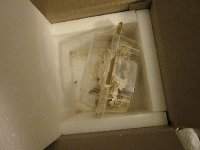 IMG_0317.JPG
