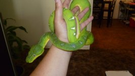 snakes3 003.jpg