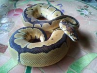 2011-06-16 17.58.13.jpg