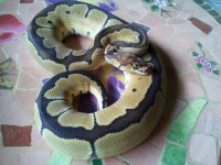 2011-06-16 17.58.44.jpg