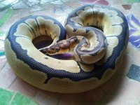 2011-06-16 17.59.18.jpg