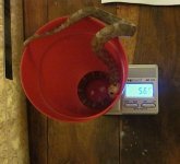 IMG_0321.jpg