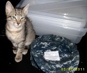 newclutch 002.jpg