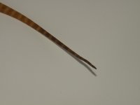 for sale 018.jpg