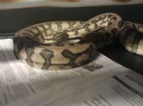 IMG_20110707_170815.jpg