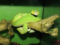 IMG_0105.jpg