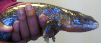 2011-05-03 13.25.20-1.jpg
