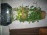 100_2973.jpg