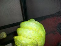 100_4044.jpg