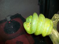 100_4047.jpg