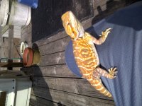 IMG-20110724-00344.jpg