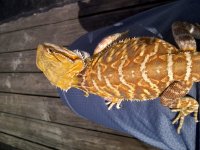 IMG-20110724-00343.jpg