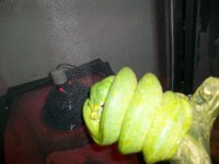 100_4045.jpg