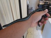 IMG_0623.JPG