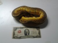 2011-08-07 13.49.34.jpg
