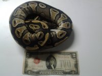 2011-08-07 13.50.06.jpg