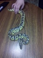 IMG_20110509_134631.jpg