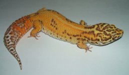 DSCF8870.jpg