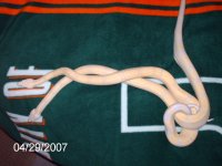 pics 006.jpg