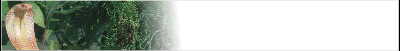 venomous-banner_b11.gif