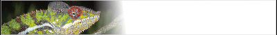 chameleon-banner_b4.gif