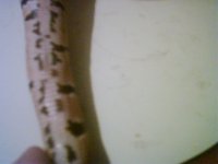 Picture 5.jpg