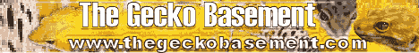 geckobase1.gif