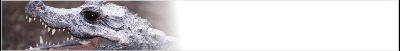 gator-banner_b.gif
