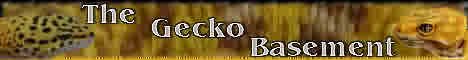 geckobase2.jpg