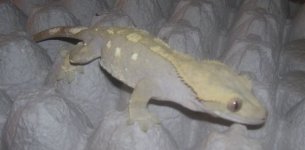 female2.jpg