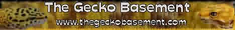 geckobase3.jpg