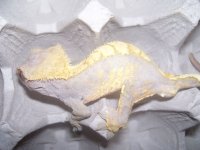 100_0184.jpg