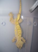 100_0182.jpg