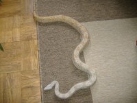 2007_0823Image0004.JPG