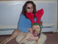 Brit With Reindeer ears-Eye Patch.jpg