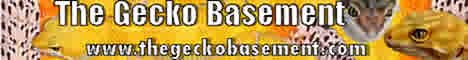 geckkobase11.jpg
